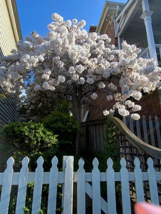 Charming Cottage Nestled In Prime Location ลอนเชสตัน ภายนอก รูปภาพ